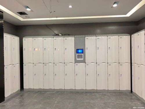 实力厂家梳理 智能储物柜厂家综合实力评估参考——人脸识别系统